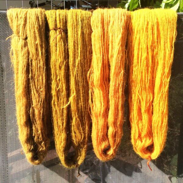 Dyeing wool with onion skins - a tutorial by La Visch Designs