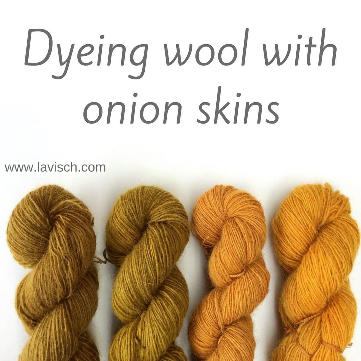 dyeing wool with onion skins - La Visch Designs