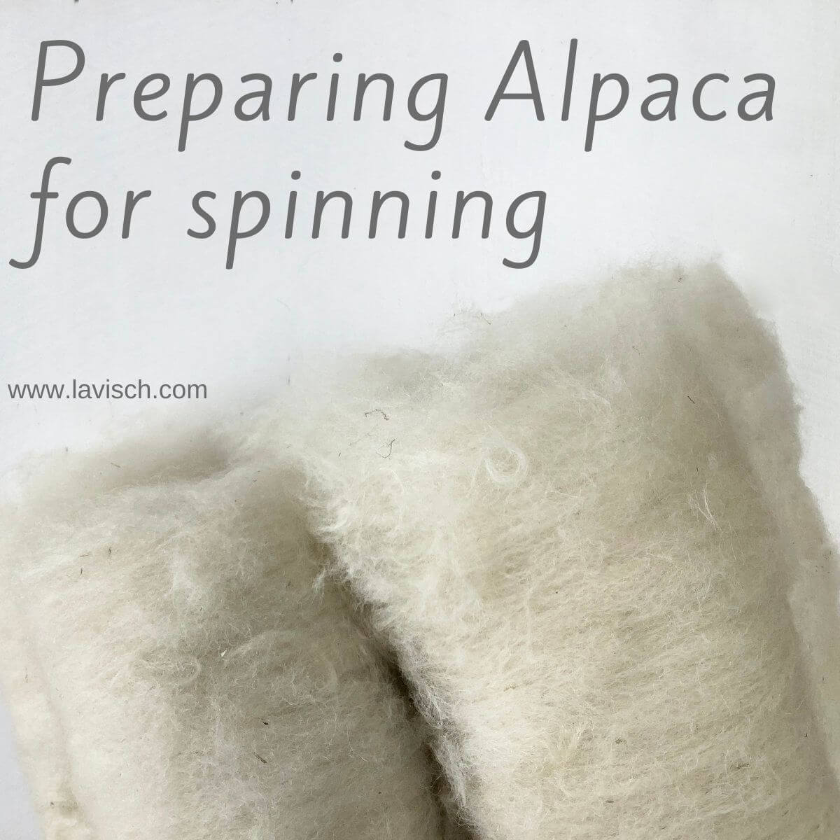 Master Spinning Alpaca Fiber in Our Free eBook!