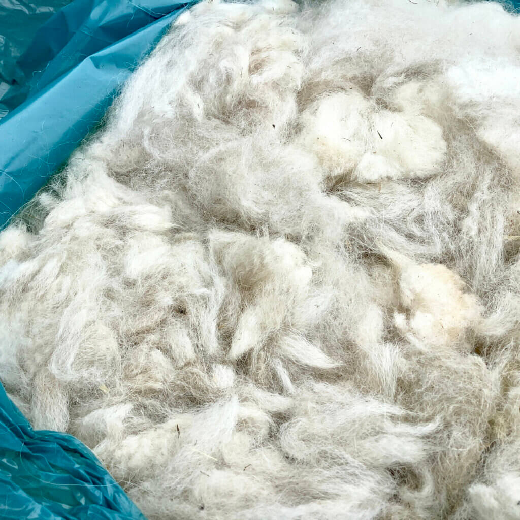 Raw alpaca - white
