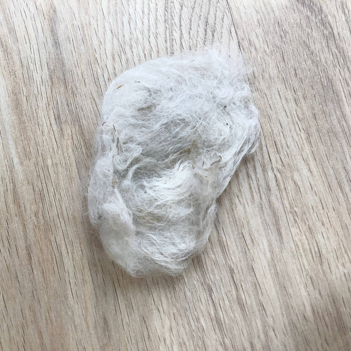 Dried alpaca