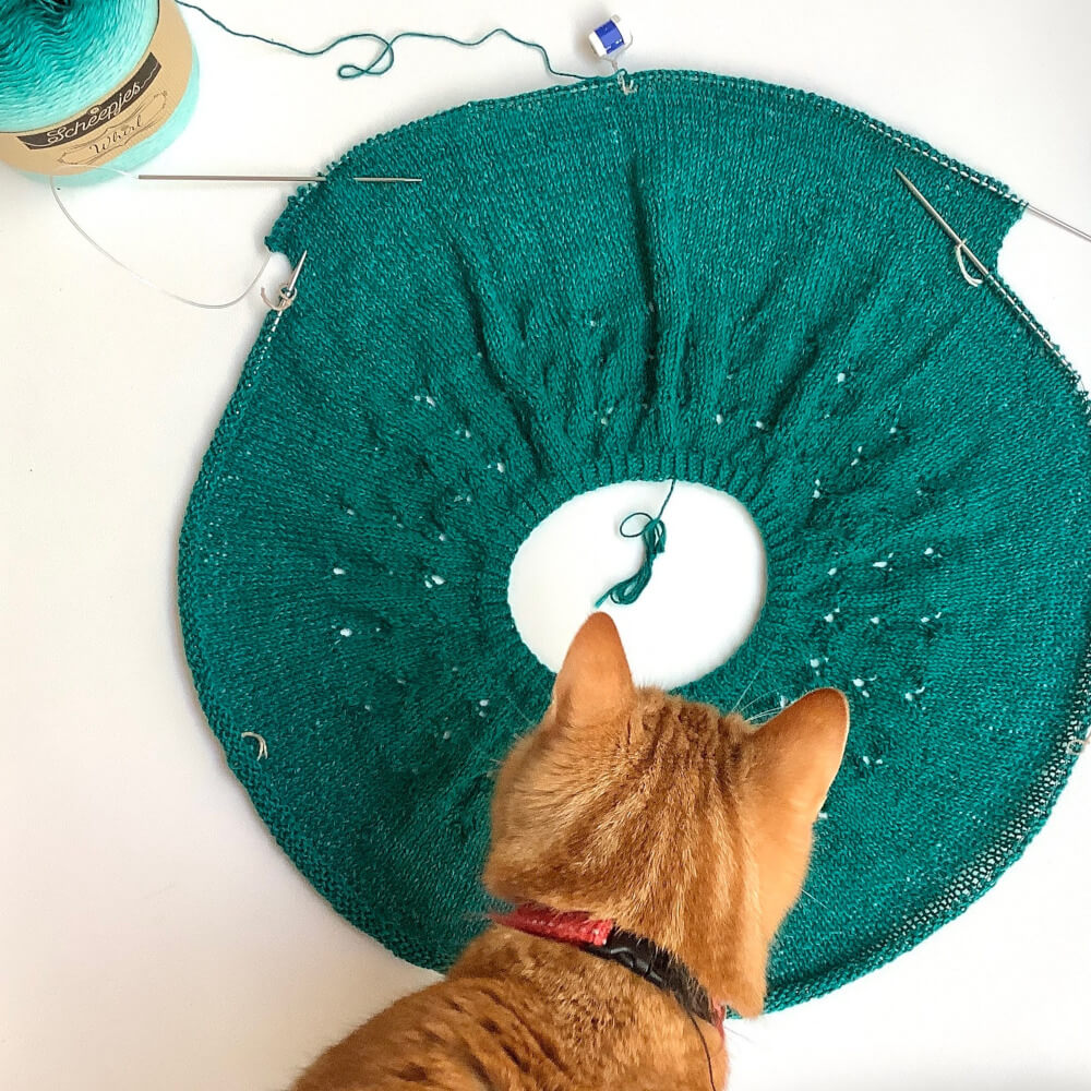 A flatlay picture of a circular yoke, with a wedge knitted on.